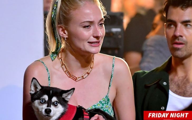 Sophie Turner Looked Understandably Upset While Cuddling Her Dog Porky On Set Of Joe Jonas’ Music Video