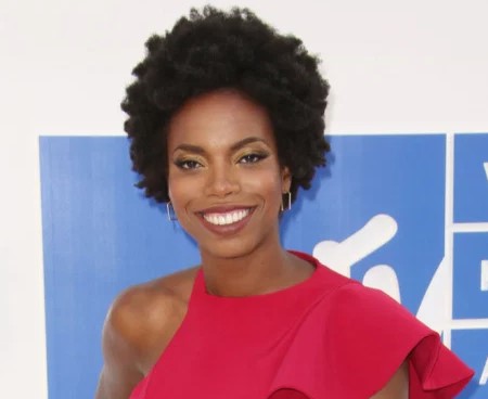 sasheer zamata boyfriend.