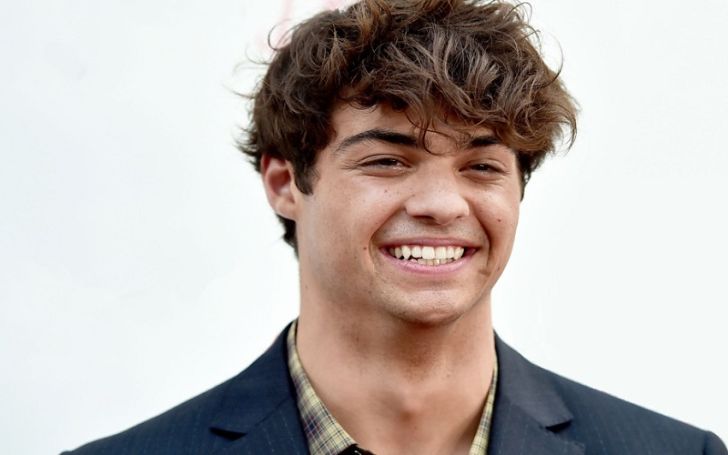 What is Noah Centineo's Net Worth in 2021? Learn About His Earnings and Salary Here