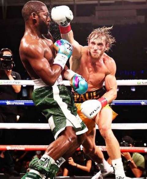 Logan Paul and Floyd Mayweather fight