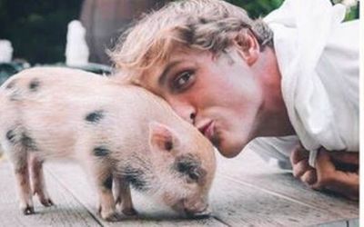 Logan Paul Surrounded In Controversies, Abandoned Pig to Failed CryptoZoo